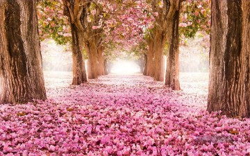 fotos foto Ölbilder verkaufen - Rosa Blumenpfad Bäume Landschaftsmalerei von Fotos zu Kunst